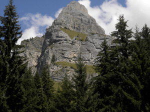 rencontre-au-sommet-mieux-dialoguer