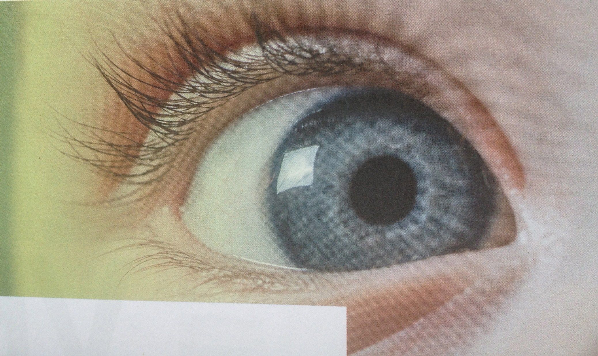 Quel regard?